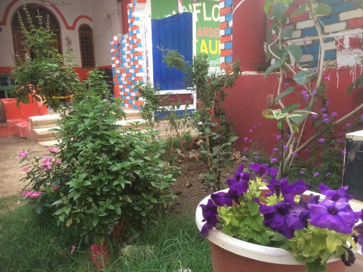 Sunflower Guest House Luxor West Bank Exterior foto