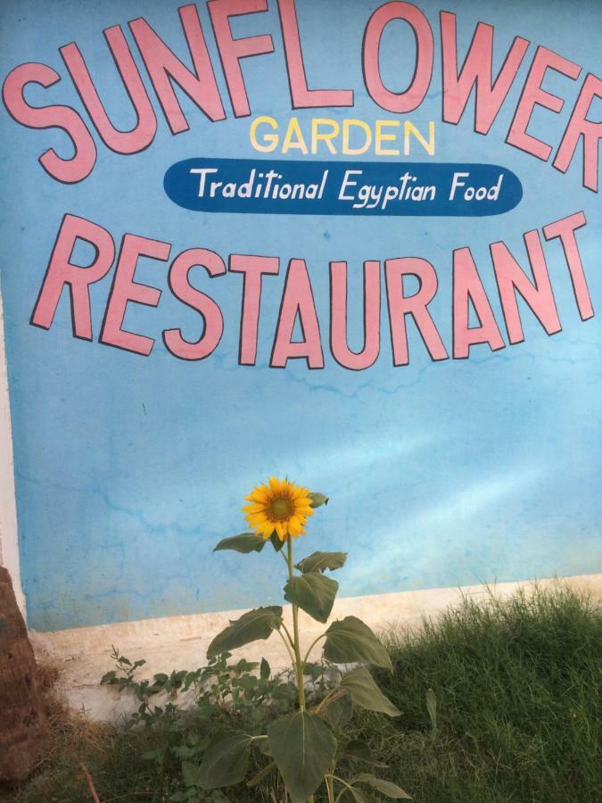 Sunflower Guest House Luxor West Bank Exterior foto